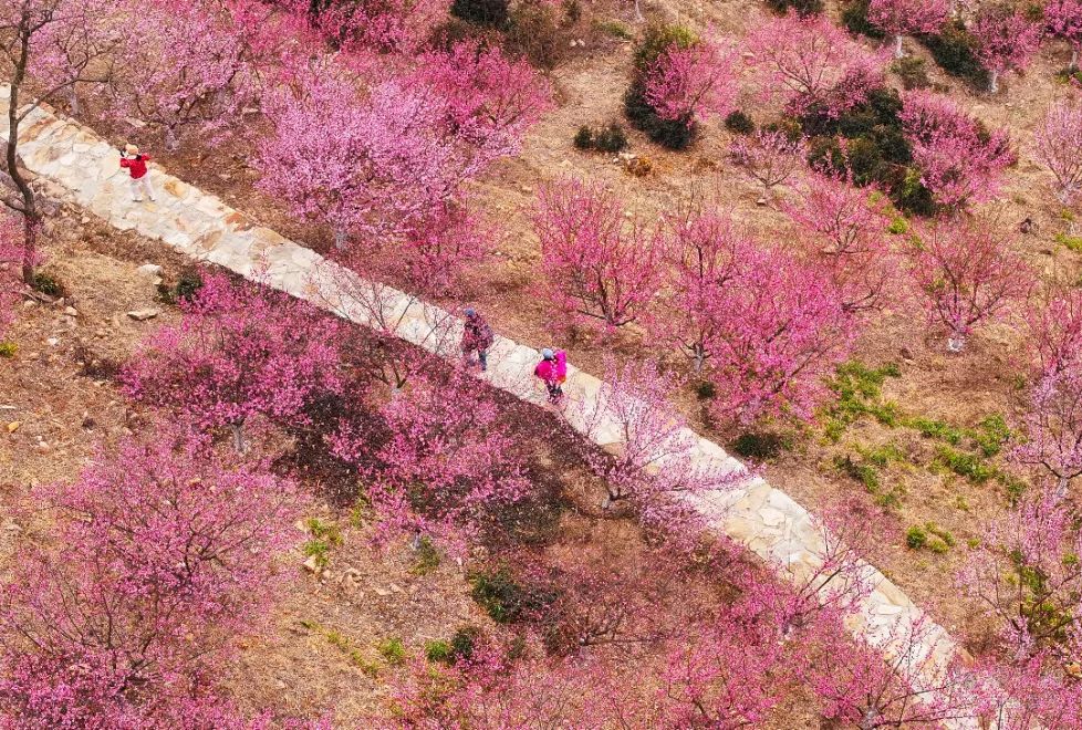 鲍尔森：美联储降息太慢了，2025年底前利率应降至2.5%